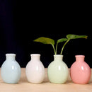 Pastel mini ceramic flower vase set for living room shelf decor by Decorbites