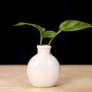 Pastel mini ceramic flower vase set for living room shelf decor by Decorbites