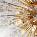 GobekUsa Dandelion Crystal LED Ceiling Light for Home Indoor Living Dining Room