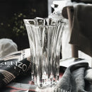GobekUsa Elegant Crystal Glass Vase for Flower Arrangement