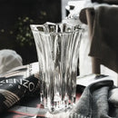 GobekUsa Elegant Crystal Glass Vase for Flower Arrangement