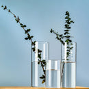 GobekUsa Elegant Glass Cylinder Vase for Flowers