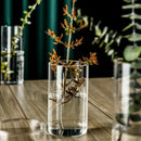 GobekUsa Elegant Glass Cylinder Vase for Flowers