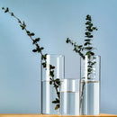 Modern clear glass cylinder vase set living room floral decor
