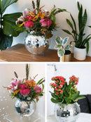 GobekUsa Elegant Round Glass Vase for Home Decor