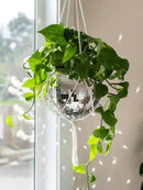 GobekUsa Elegant Round Glass Vase for Home Decor