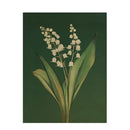 Emerald green lily botanical wall art – living room framed print by Decorbites