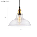 GobekUsa Farmhouse Clear Glass Brass Pendant Light - Barn Dining Room Hanging Fixture