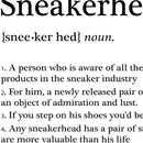 GobekUsa Fashionable Sneaker Box Canvas Wall Art
