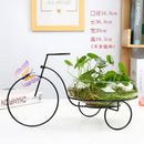 GobekUsa Flamingo Metal Vase for Home Decor