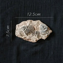 Decorbites fossil series art refrigerator stickers kitchen decor by Decorbites