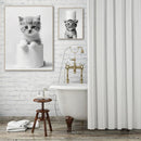 GobekUsa Funny Animals Canvas Wall Art for Bathroom Home