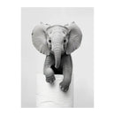 Black and white funny animals wall art – bathroom framed prints by Decorbites