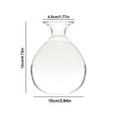 GobekUsa Glass Avocado Seed Starter Vase Kit