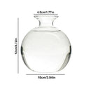 Clear glass avocado seed starter vase kitchen root grower by Decorbites