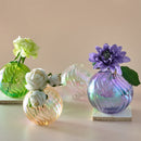 GobekUsa Glass Ball Vases Set for Home Decor