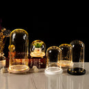 GobekUsa Glass Bell Jar Terrarium with LED Light