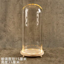 GobekUsa Glass Bell Jar Terrarium with LED Light