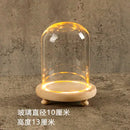 GobekUsa Glass Bell Jar Terrarium with LED Light