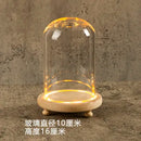GobekUsa Glass Bell Jar Terrarium with LED Light