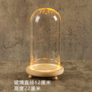 GobekUsa Glass Bell Jar Terrarium with LED Light