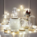 GobekUsa Glass Bell Jar Terrarium with LED Light