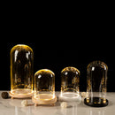 GobekUsa Glass Bell Jar Terrarium with LED Light