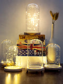 GobekUsa Glass Bell Jar Terrarium with LED Light