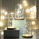 GobekUsa Glass Bell Jar Terrarium with LED Light
