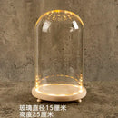 GobekUsa Glass Bell Jar Terrarium with LED Light