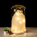 GobekUsa Glass Bell Jar Terrarium with LED Light