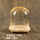 GobekUsa Glass Bell Jar Terrarium with LED Light
