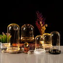 GobekUsa Glass Bell Jar Terrarium with LED Light