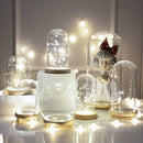GobekUsa Glass Bell Jar Terrarium with LED Light