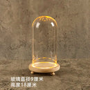 GobekUsa Glass Bell Jar Terrarium with LED Light