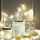 GobekUsa Glass Bell Jar Terrarium with LED Light