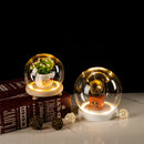 GobekUsa Glass Bell Jar Terrarium with LED Light