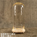 GobekUsa Glass Bell Jar Terrarium with LED Light