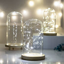 GobekUsa Glass Bell Jar Terrarium with LED Light