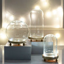 GobekUsa Glass Bell Jar Terrarium with LED Light