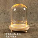 GobekUsa Glass Bell Jar Terrarium with LED Light