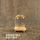 GobekUsa Glass Bell Jar Terrarium with LED Light