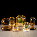 GobekUsa Glass Bell Jar Terrarium with LED Light