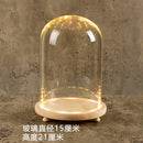 GobekUsa Glass Bell Jar Terrarium with LED Light