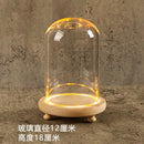 GobekUsa Glass Bell Jar Terrarium with LED Light