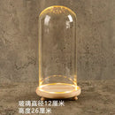 GobekUsa Glass Bell Jar Terrarium with LED Light