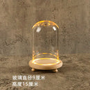 GobekUsa Glass Bell Jar Terrarium with LED Light