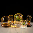 GobekUsa Glass Bell Jar Terrarium with LED Light