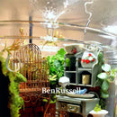 GobekUsa Glass Bottle Terrarium Kit