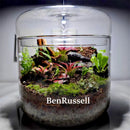 GobekUsa Glass Bottle Terrarium Kit